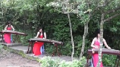 民乐群星 - 云之南