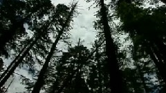 风景 - 迟到的春天