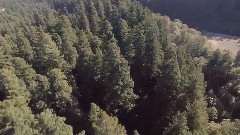 风景 - 美国之旅