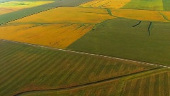 风景 - 美国之旅