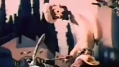 我和毛驴对脾气