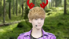 WIDE Entertainment News