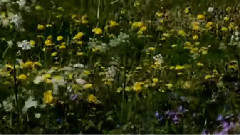 Michel Pépé - Presents