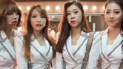 韩国宣传大使计划演唱会花絮