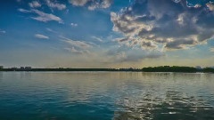 手嶌葵,音乐短片 - The Rose 饭制版