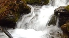 民乐群星 - 花儿纳吉