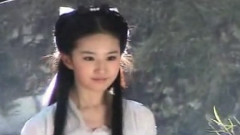 刘亦菲 - 工作记录