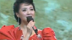 吴静 - 用爱心绣中华