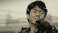 辉星 - 一年的话