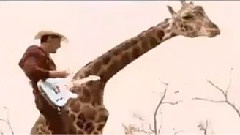 Brad Paisley - Southern Comfort Zone