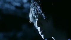 The Flickers - 永遠