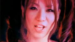 彩音 - Arrival Of Tears