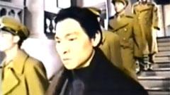 刘德华 - 忘情水