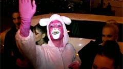 Abraxas Pink Panther - Abraxas Pantera Rosa