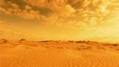 有坂美香 - Life Goes On