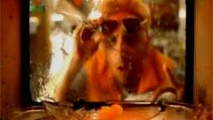 Enrique Iglesias - Be With You