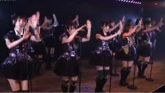 樱の花びらたち