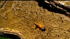 Sarah Brightman - This love