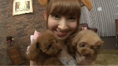 AKB映像センター 小嶋陽菜 マイペット