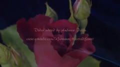 Giovanni Marradi - And I Love You So