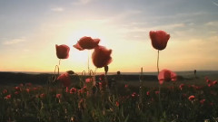 Maksim Mrvica - Leeloo's Tune