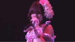 おしべとめしべと夜の蝶々