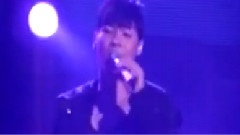 辉星 - 生也好死也罢