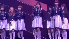 桜の花びらたち (樱花花瓣)