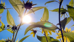 Enigma,音乐短片 - Gravity Of Love (Most Beautiful Places On Earth)