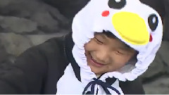 俊秀!去哪儿? 企鹅篇