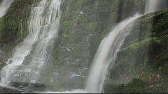 Bernward Koch - 银色面纱