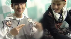 Mnet Wide EXO File Couple魅力探究