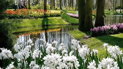 Secret Garden,音乐短片 - Serenade to Spring