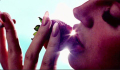 Lana Del Rey - Shades Of Cool