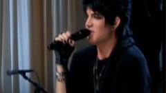 Down The Rabbit Hole