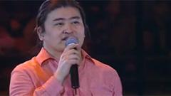 绿叶对根的情意