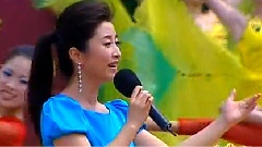 刘媛媛 - 五星红旗