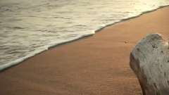 Yanni,音乐短片 - Nostalgia