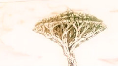 大魔斗演武 王者归来