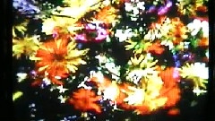 Late Of The Pier - Blueberry