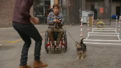 Werewolves Of London