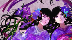 何れ菖蒲か杜若