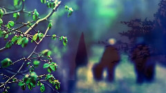 Nightwish - Forever Yours