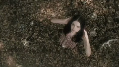 Chris Norman - If My Heart Is Not Enough