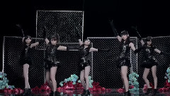 ブラックバタフライ