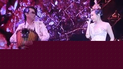 飞儿乐团 - 雨樱花