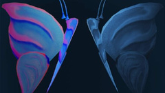 黄建为 - 我俩没有明天 歌词版