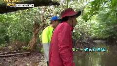 丛林法则之小火凤 E04