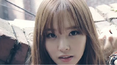 不便 官方完整版