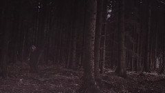 Ekat Bork - The Girl With The Black Dog